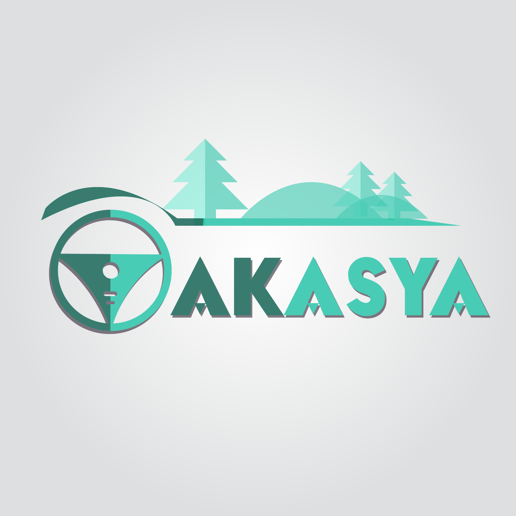 Tasarım #537