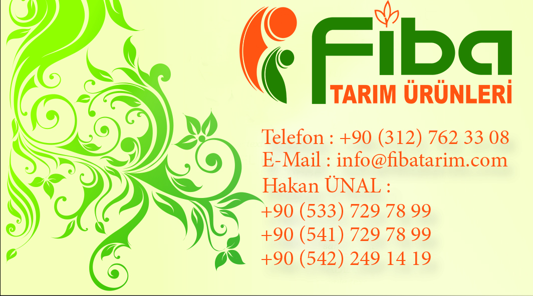 Tasarım #2