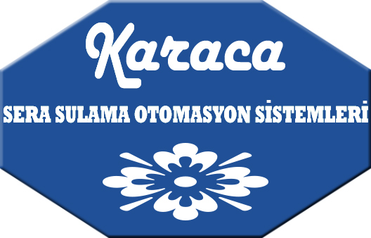 Tasarım #181