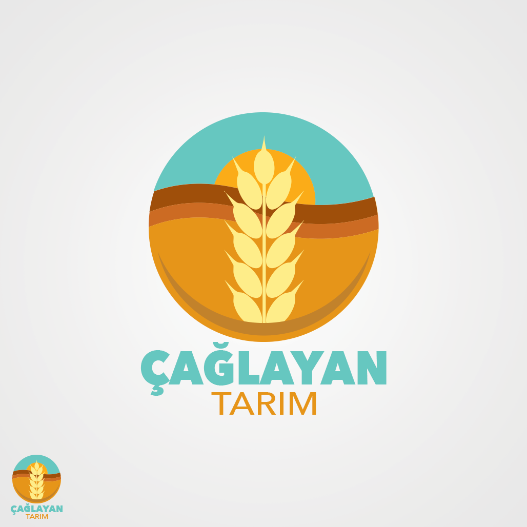 Tasarım #20