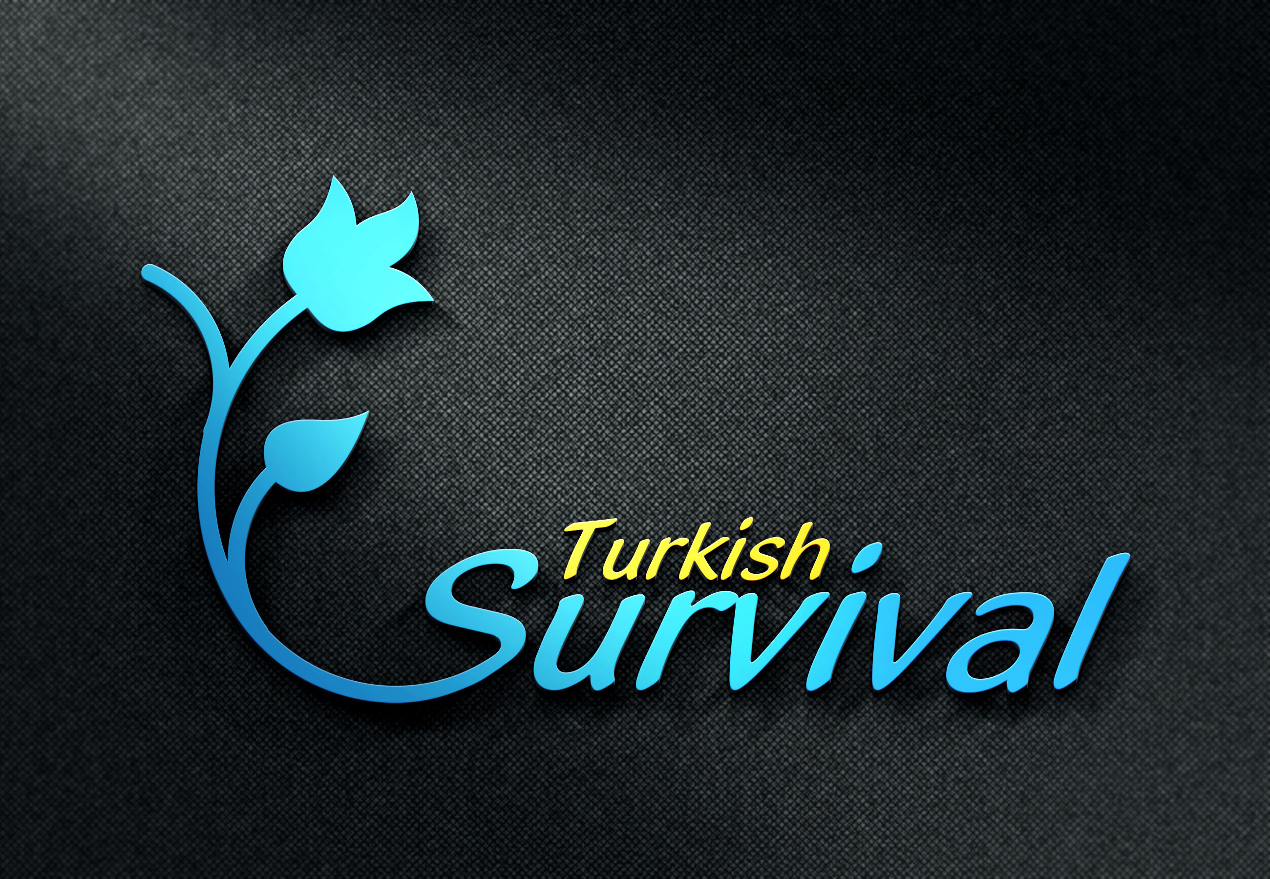 Tasarım #49