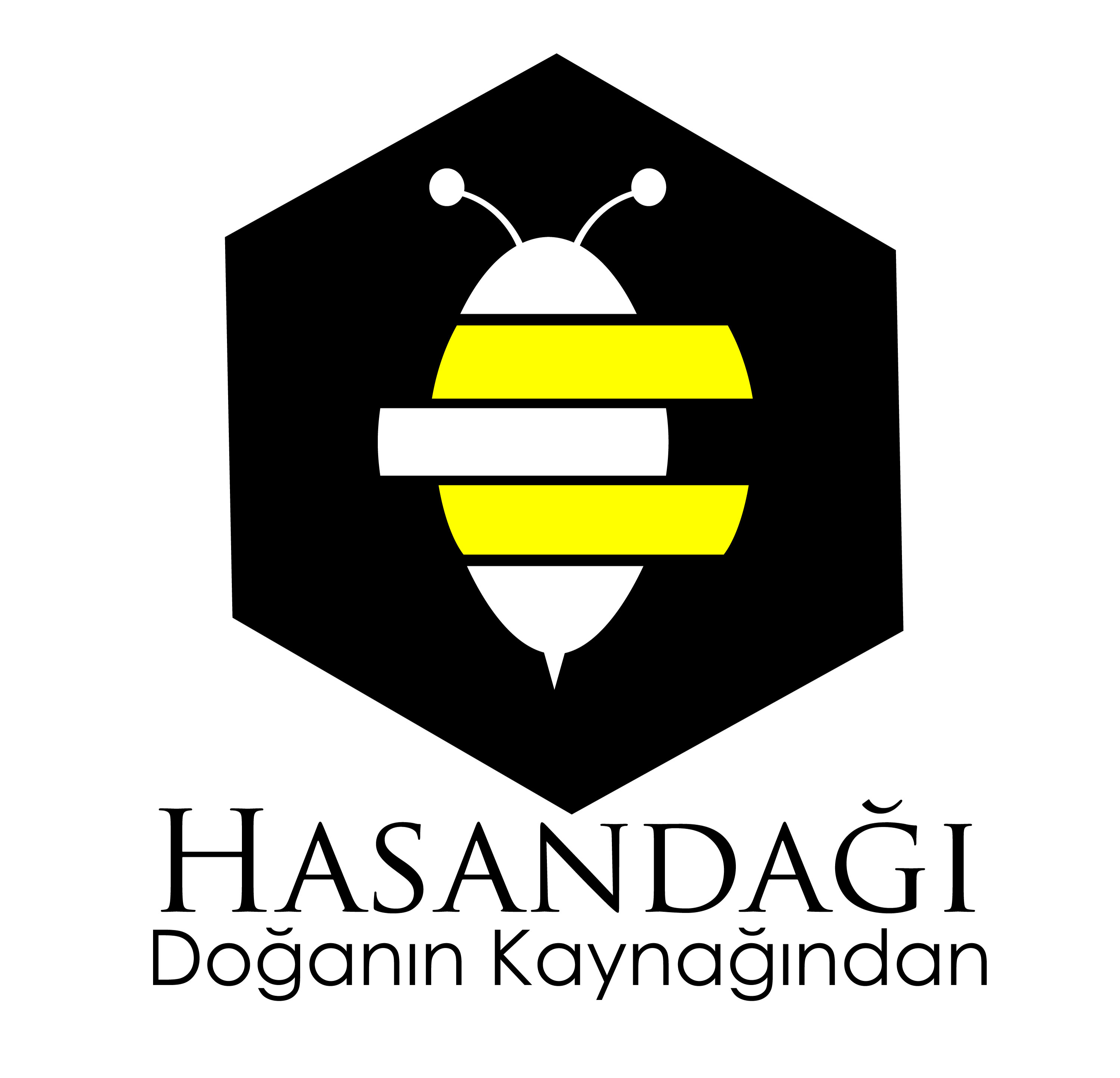 Tasarım #213