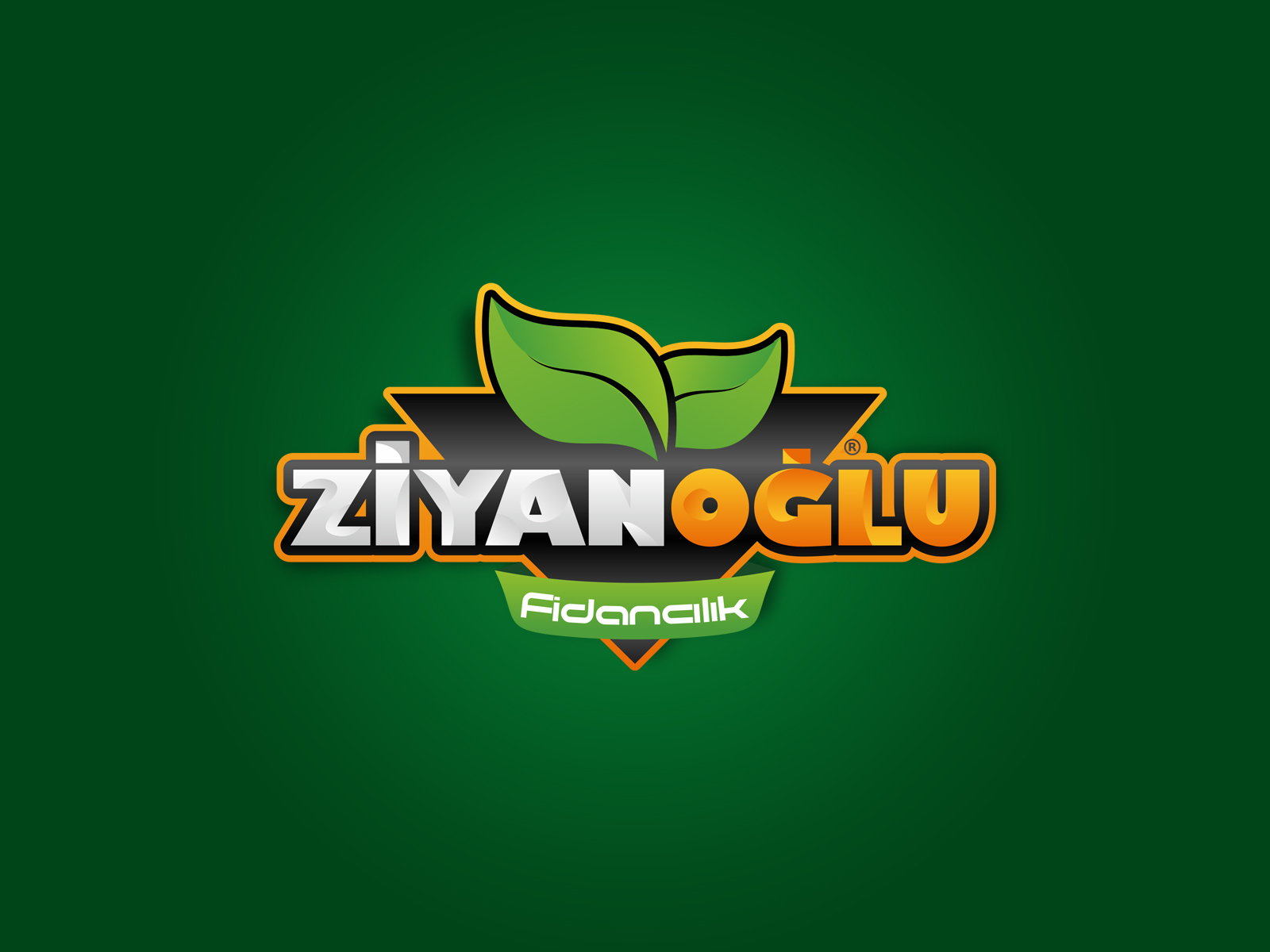 Tasarım #247