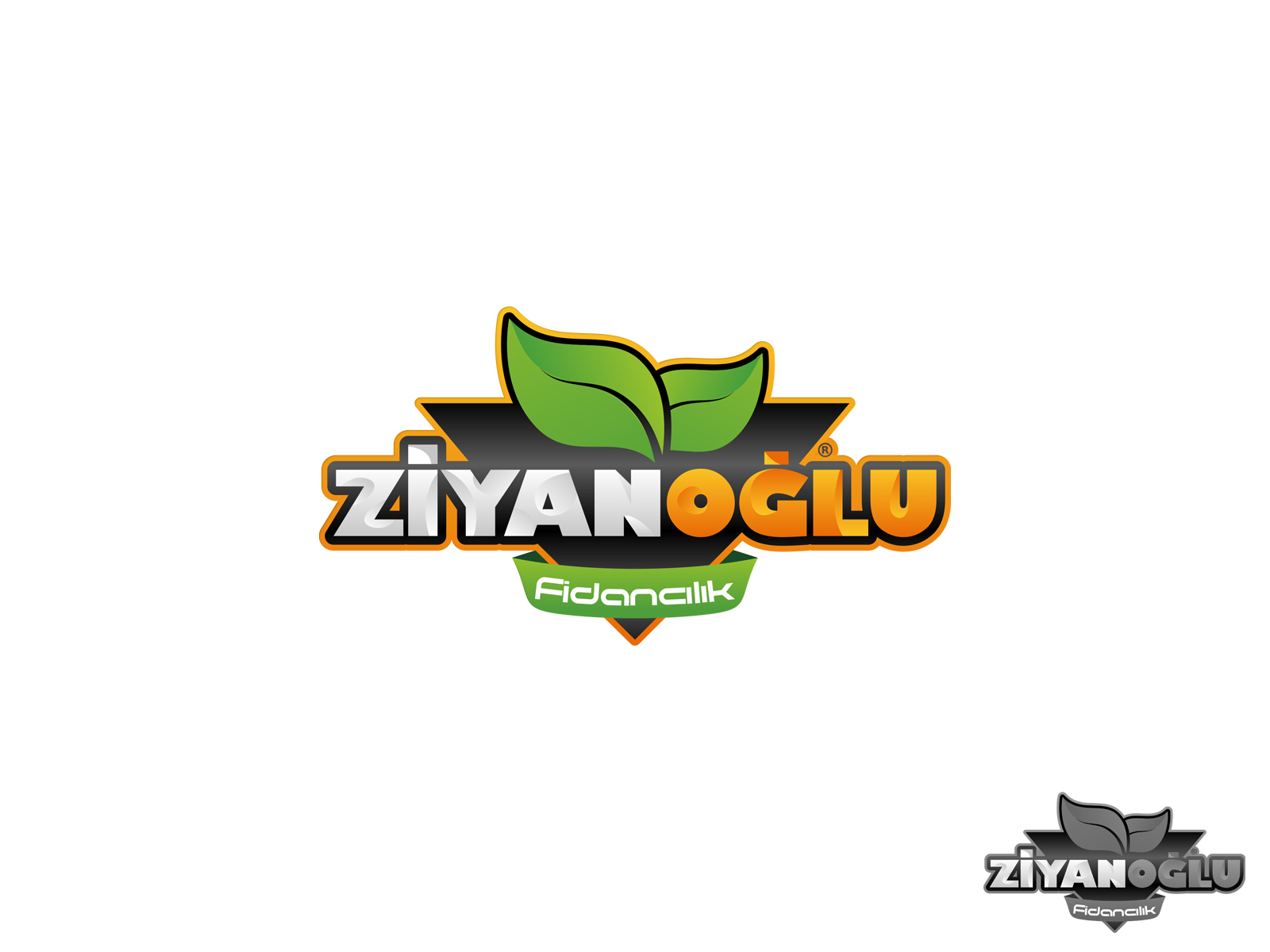 Tasarım #248