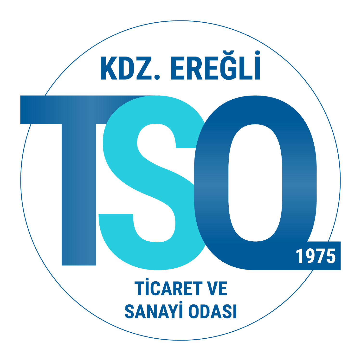 Tasarım #250
