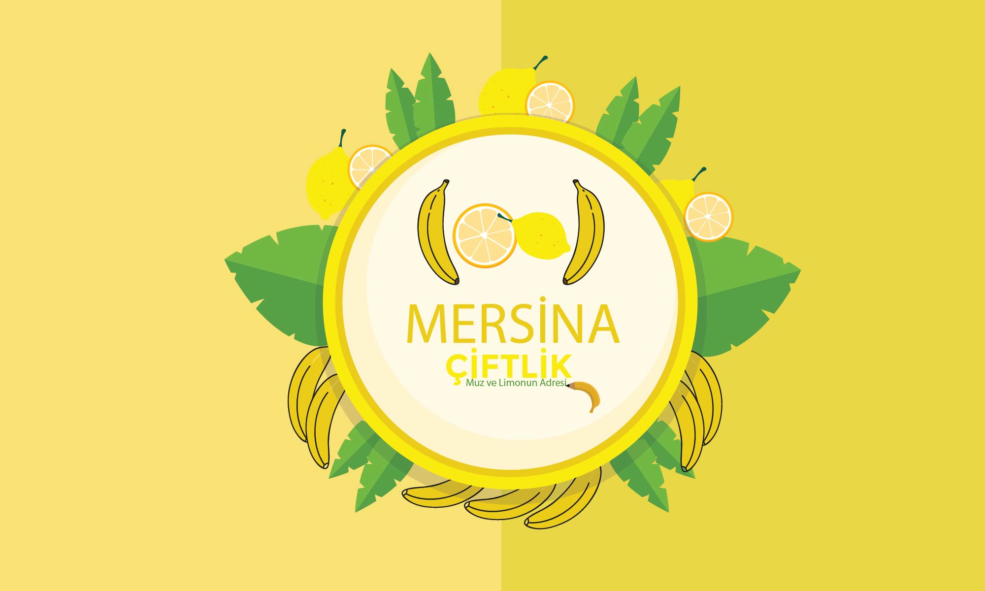 Tasarım #8