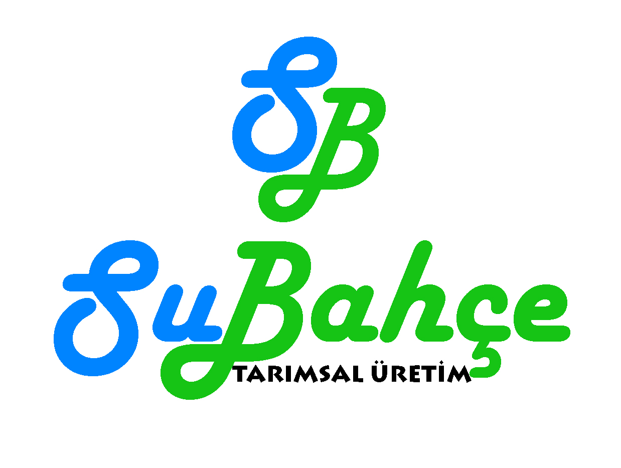 Tasarım #107