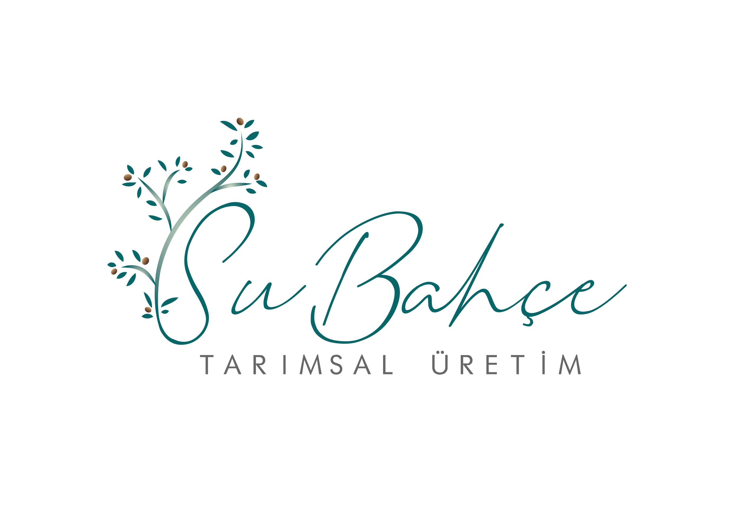 Tasarım #33