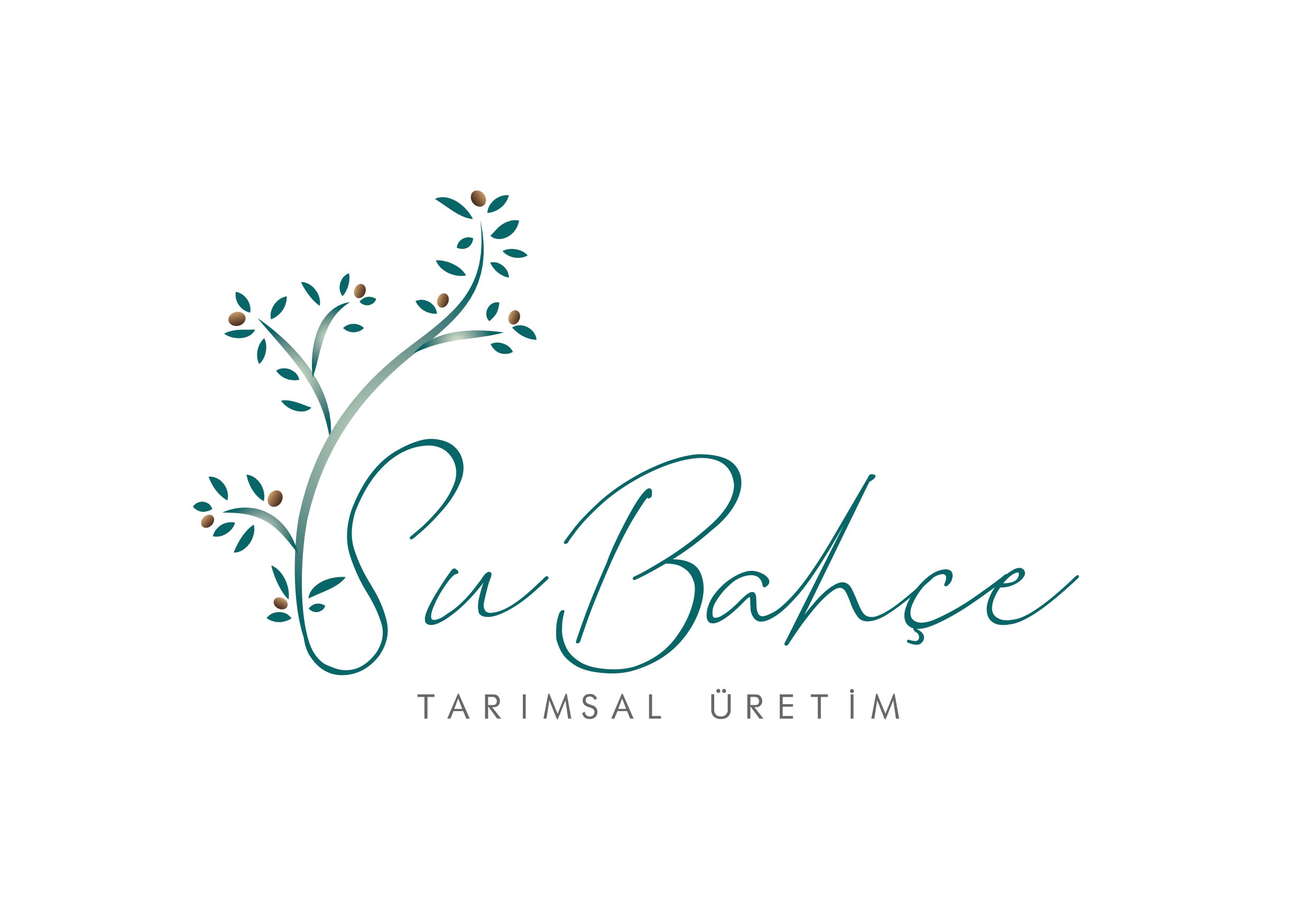 Tasarım #35