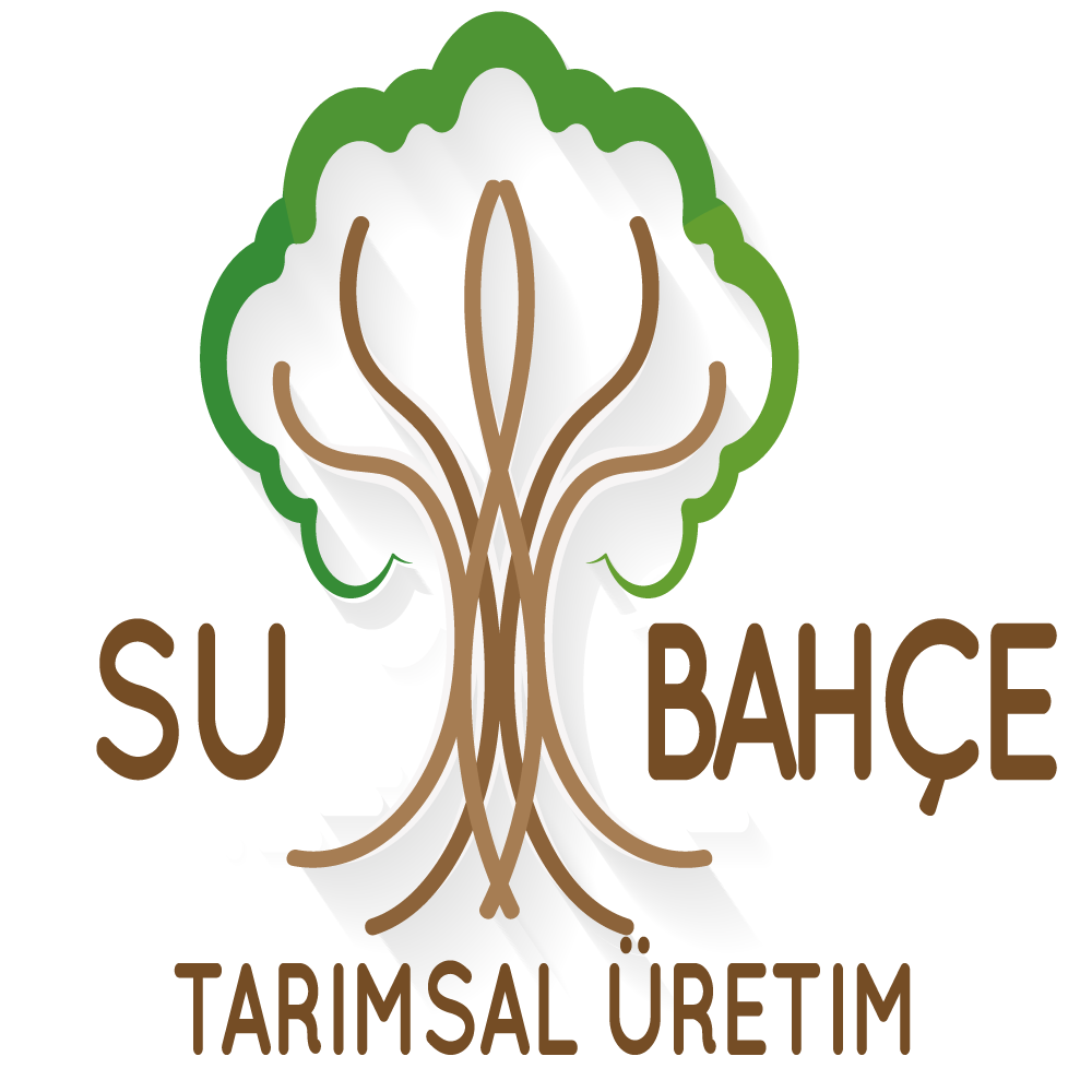 Tasarım #5