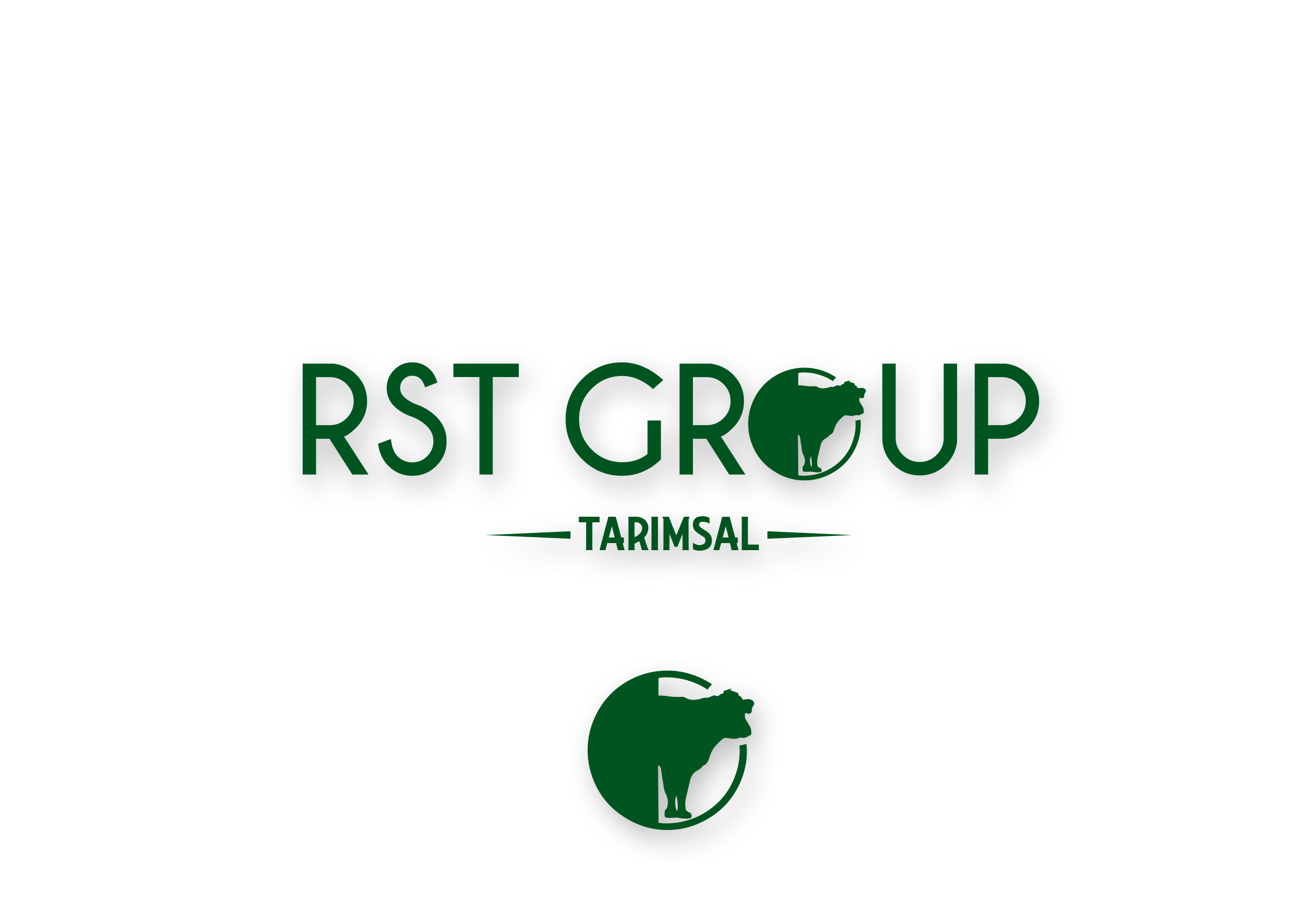 Tasarım #302