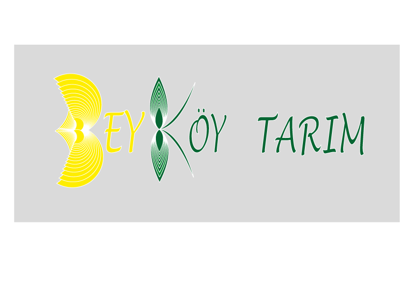 Tasarım #183