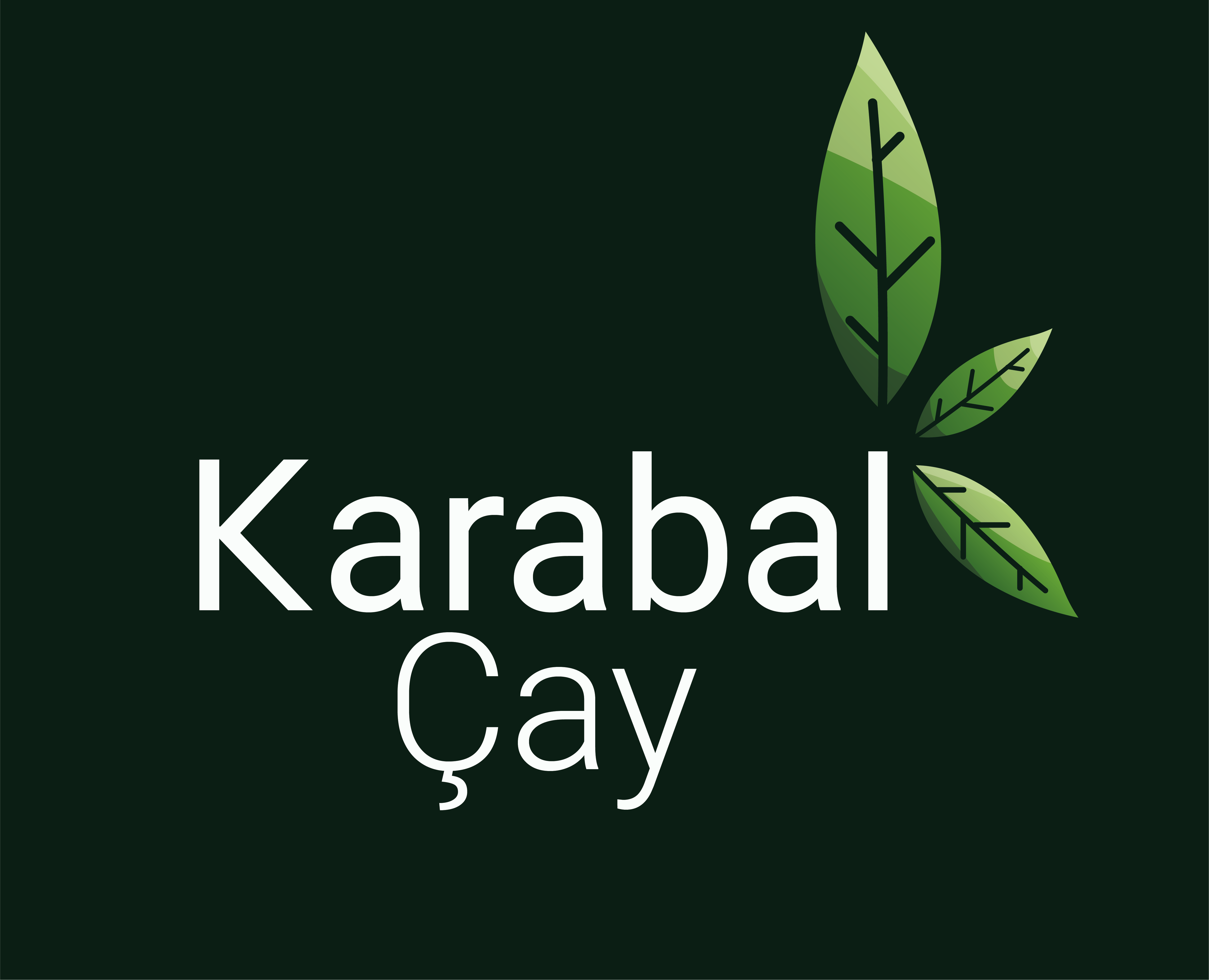 Tasarım #110