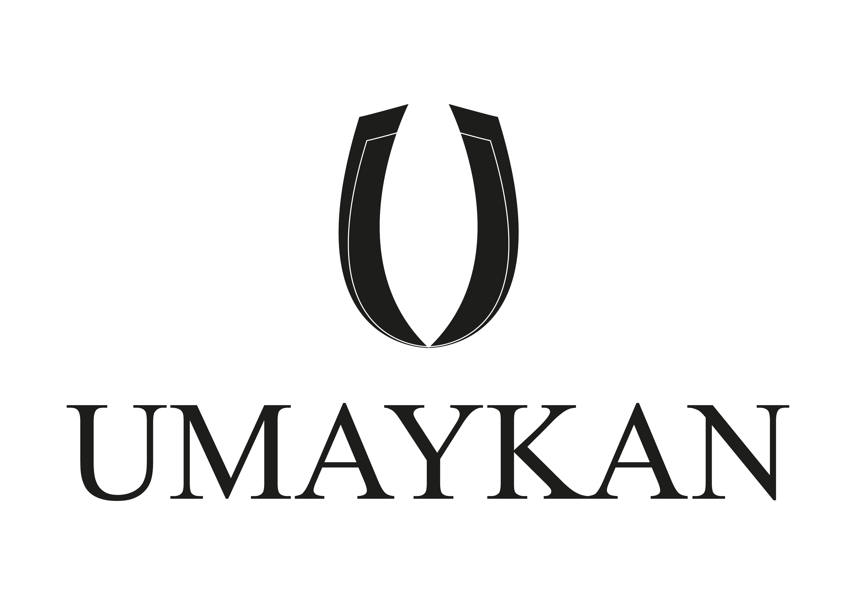 Tasarım #100