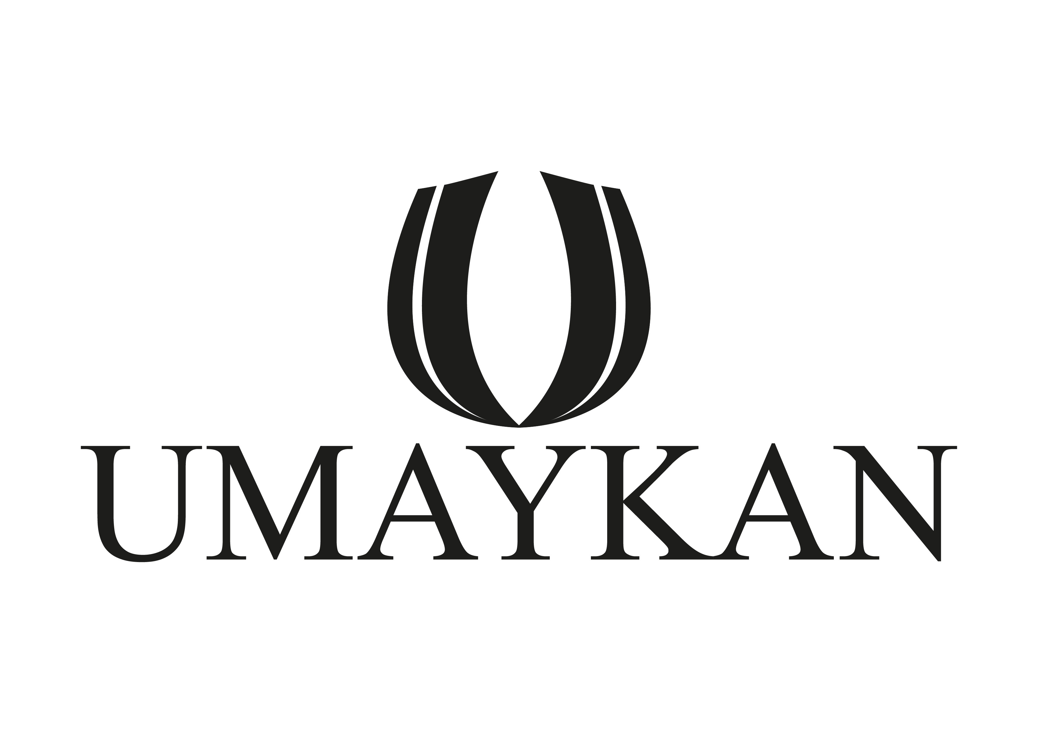 Tasarım #101