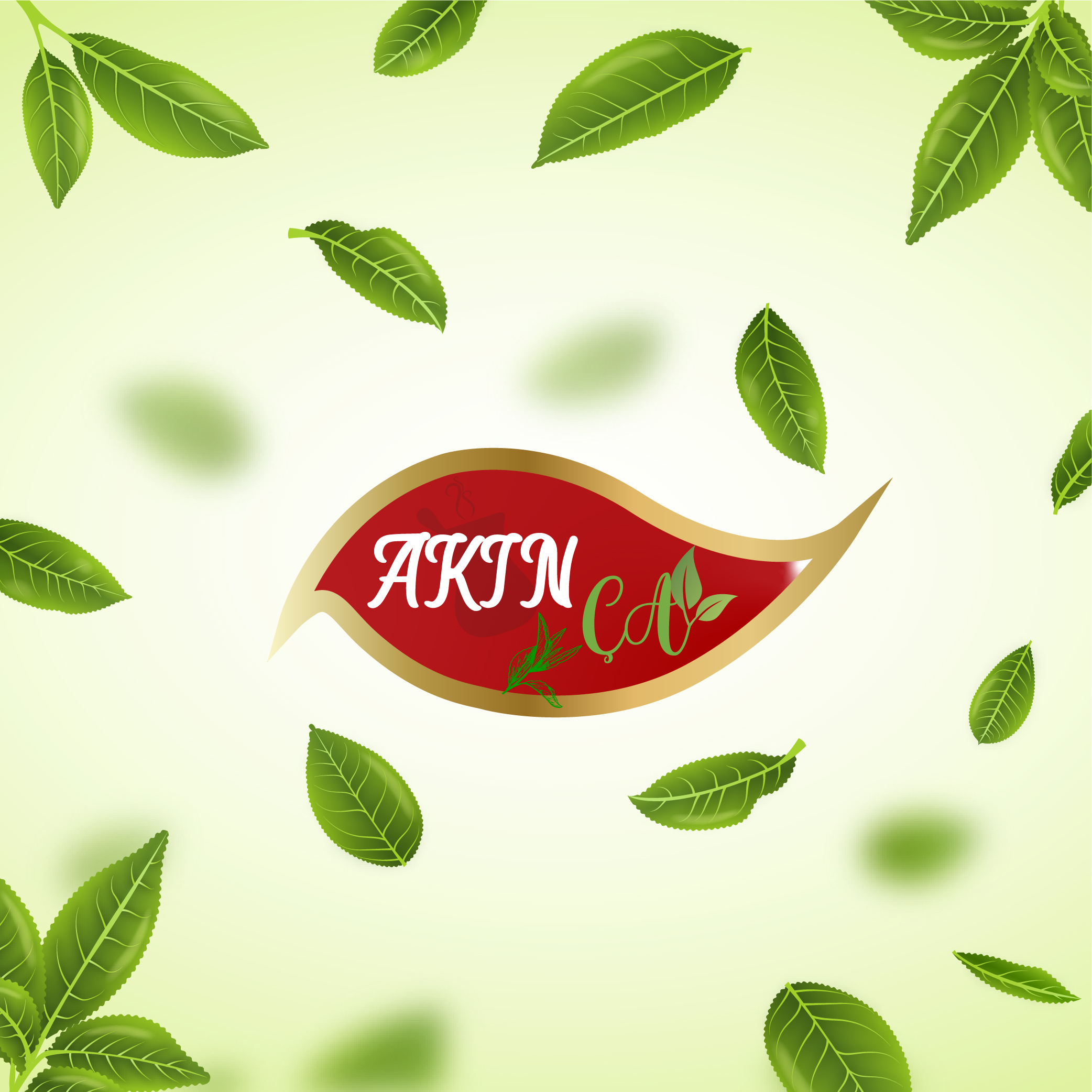 Tasarım #17