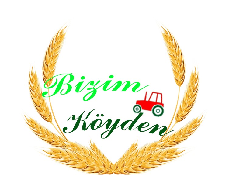 Tasarım #101