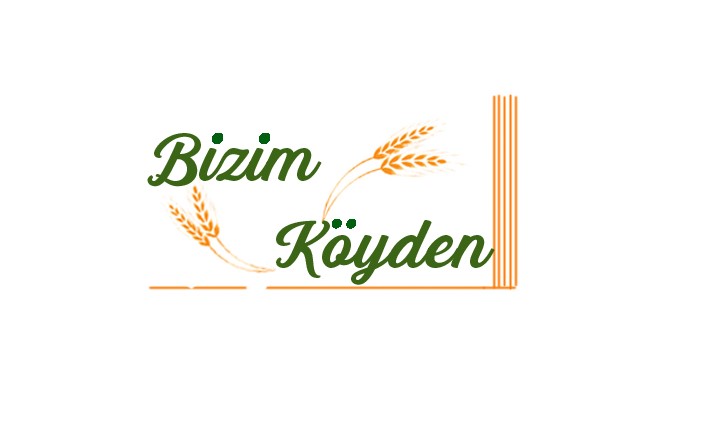 Tasarım #203