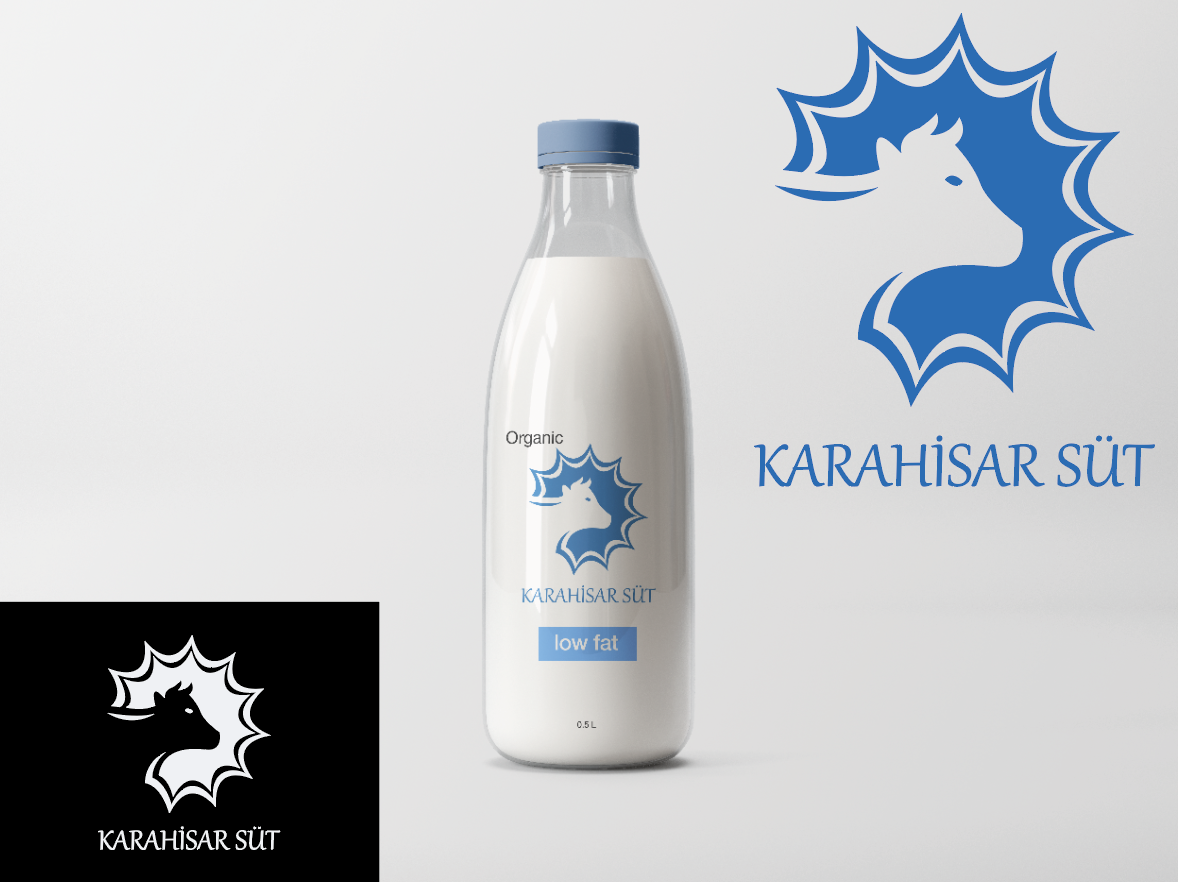 Tasarım #17