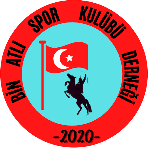 Tasarım #381