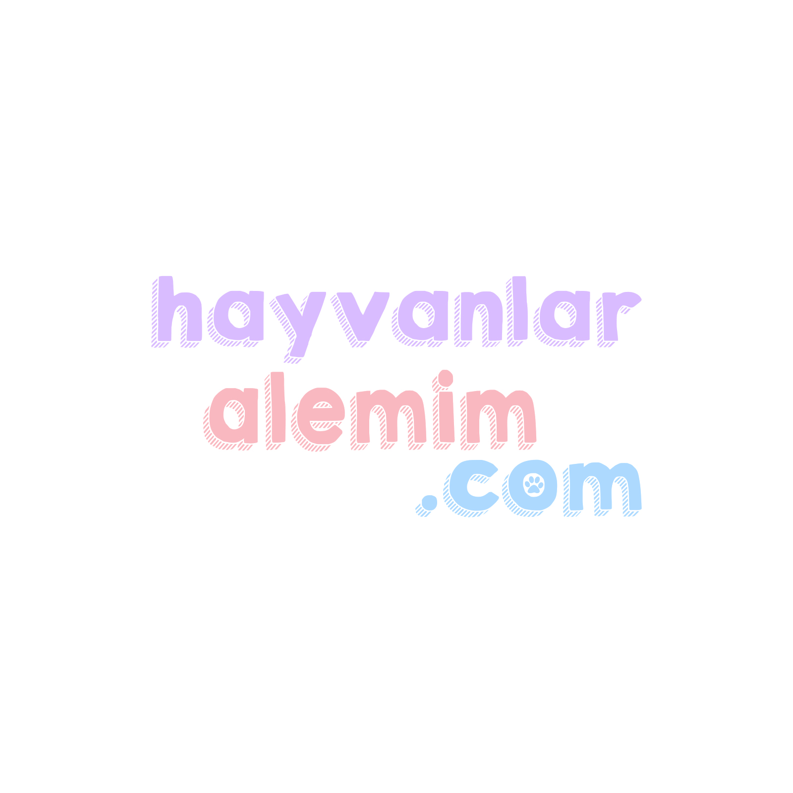 Tasarım #10