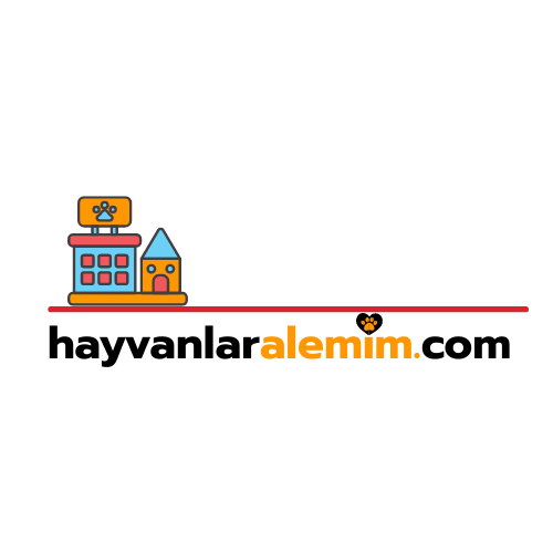 Tasarım #114