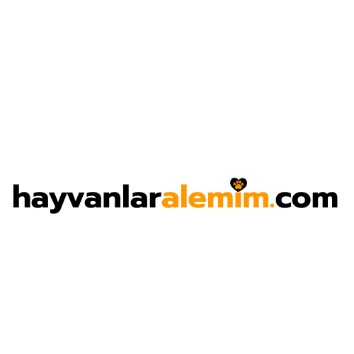 Tasarım #115