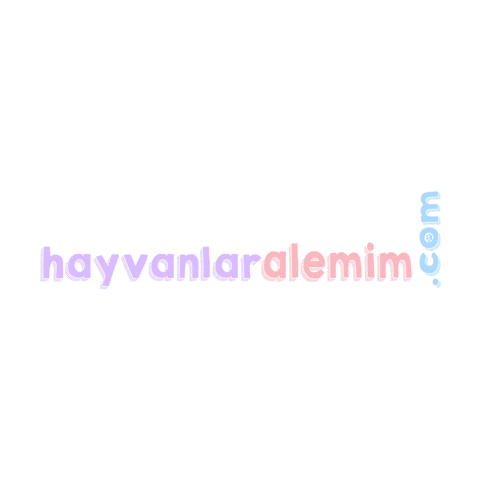 Tasarım #11