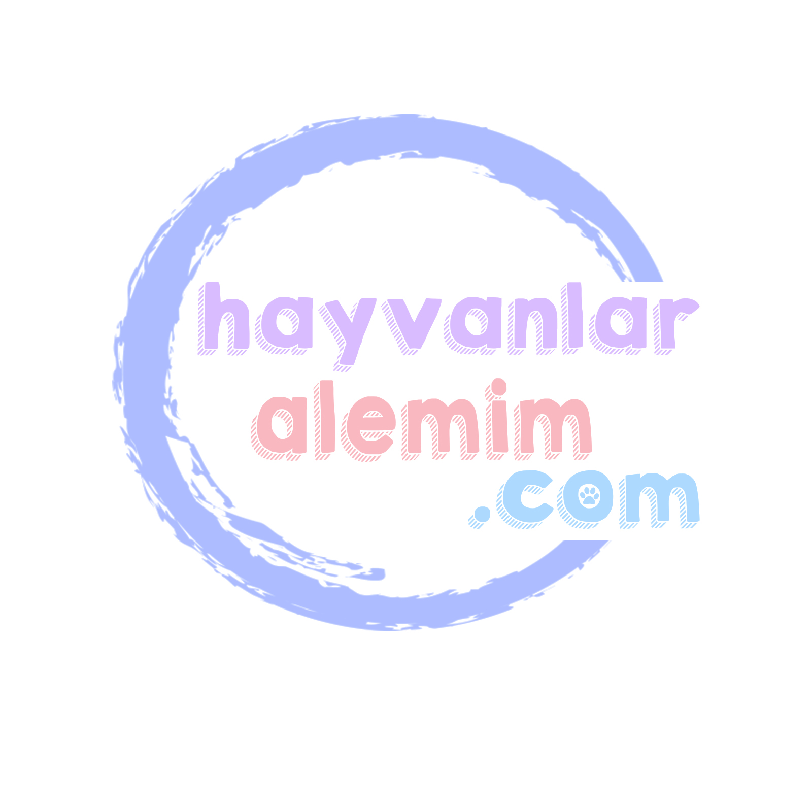 Tasarım #13