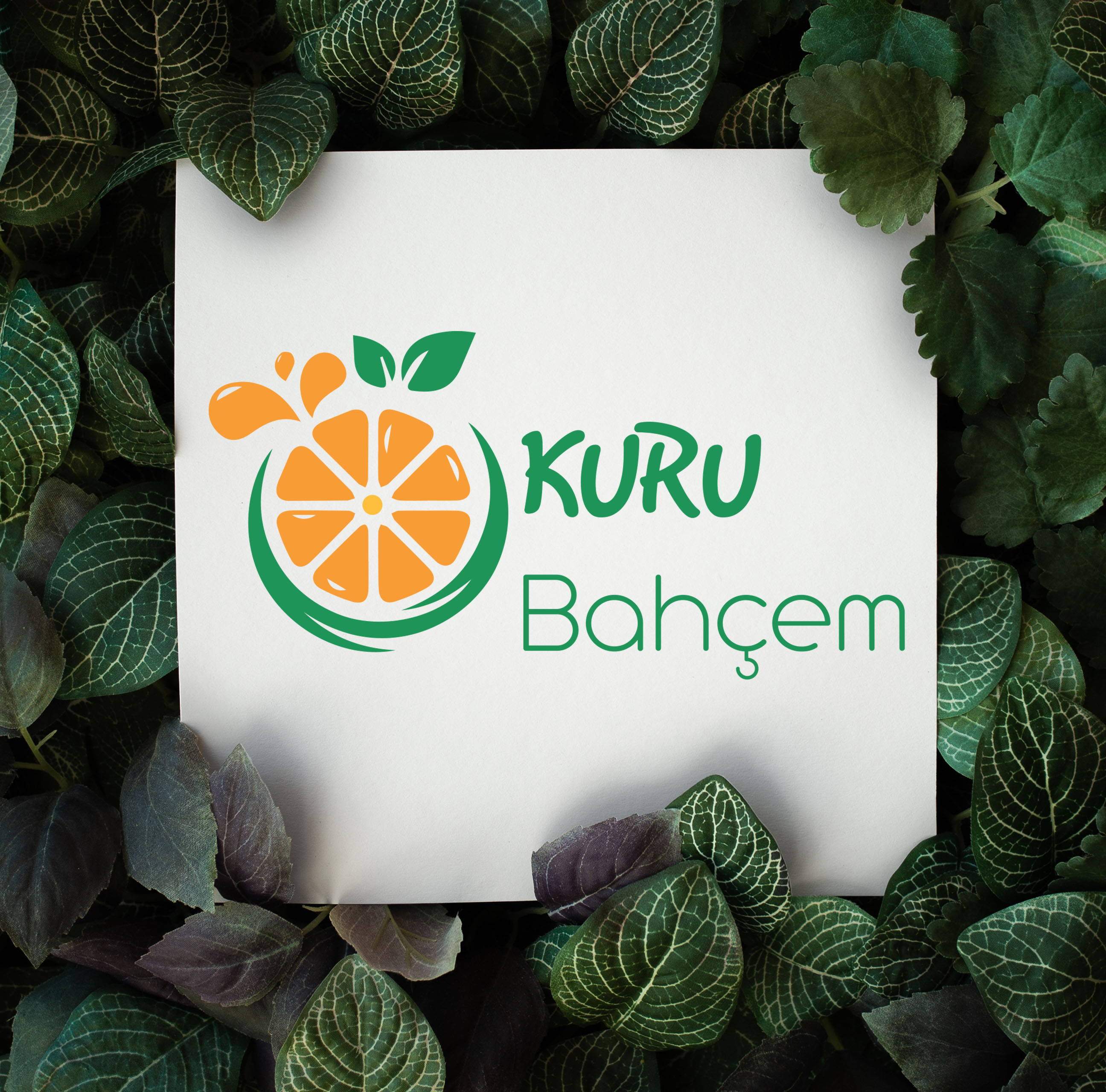 Tasarım #2