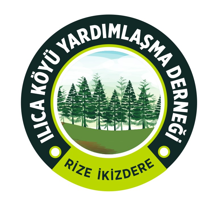 Tasarım #13