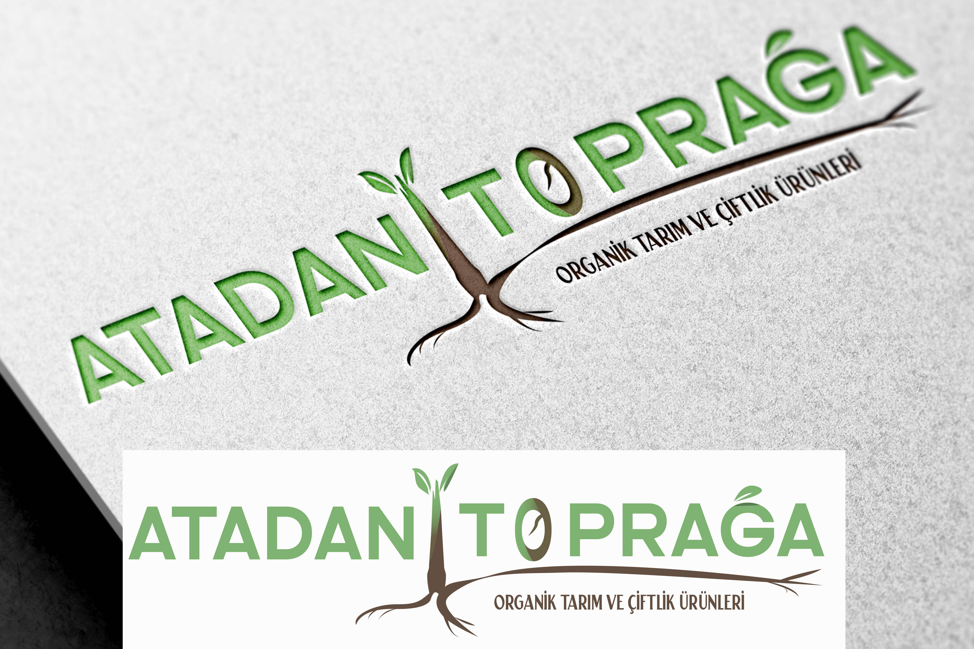 Tasarım #46