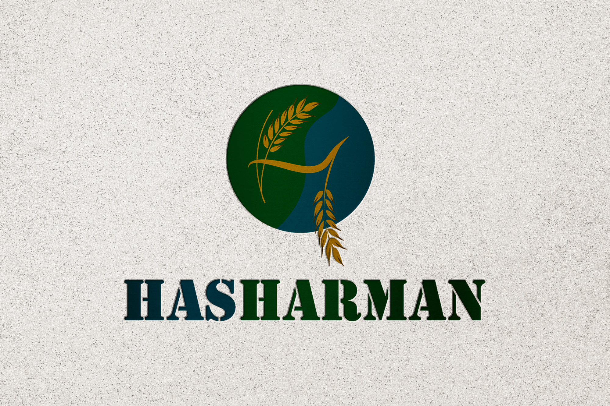 Tasarım #104