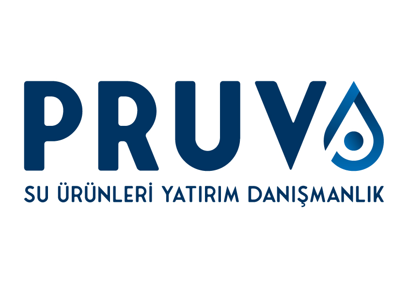 Tasarım #159