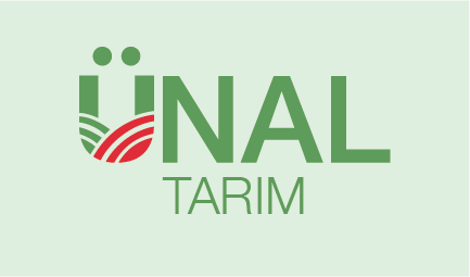 Tasarım #36