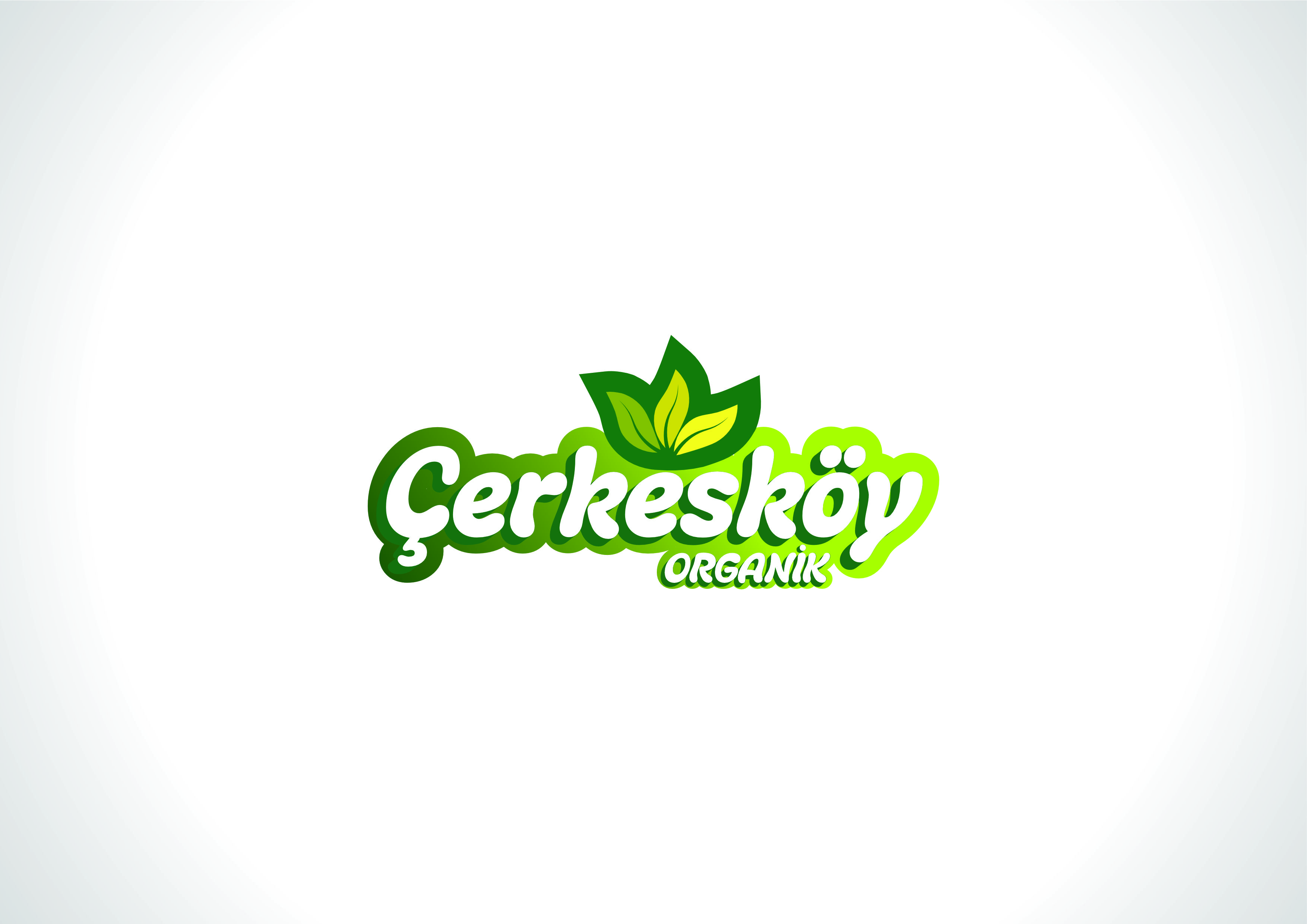 Tasarım #3