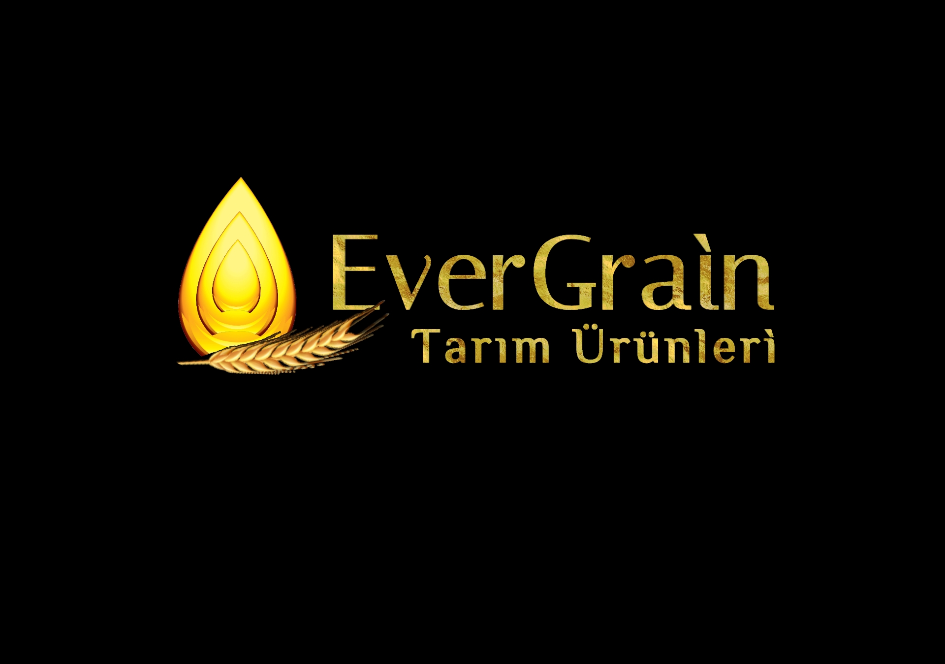 Tasarım #178